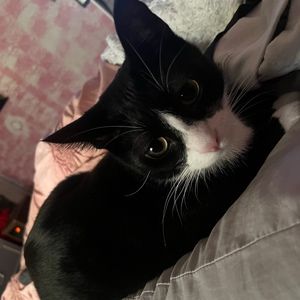 Meet your Posher, Moni